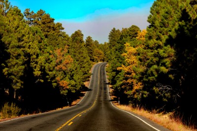 Road through Grand Canyon National Park