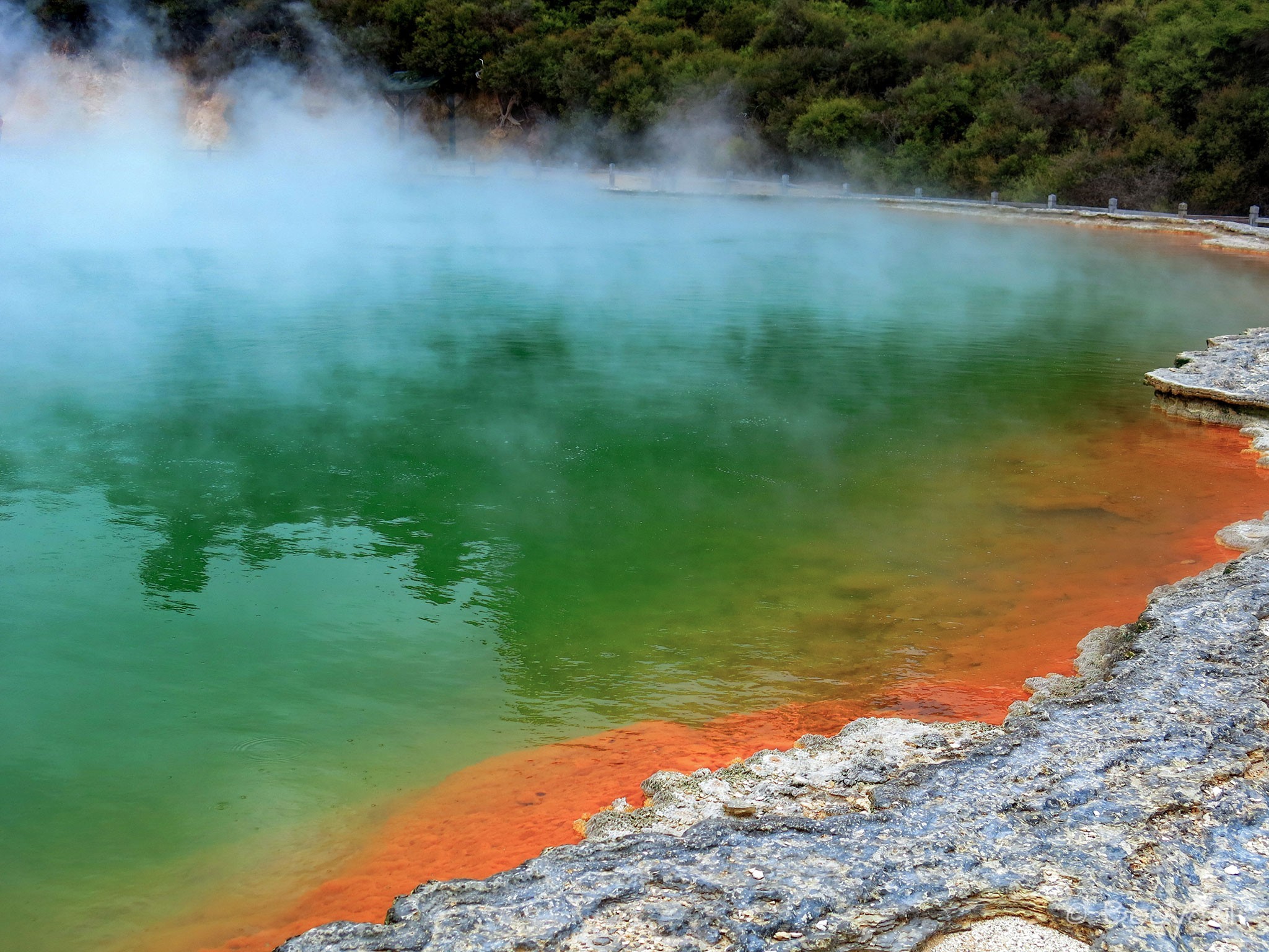Champagne Pool, Wai-U-Tapu
