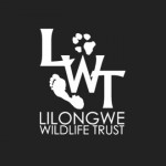 LWT logo2